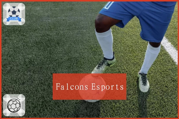 Falcons Esports