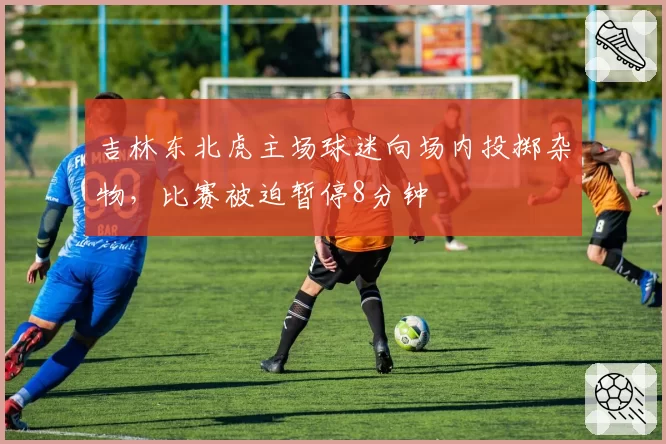 吉林东北虎主场球迷向场内投掷杂物,比赛被迫暂停8分钟