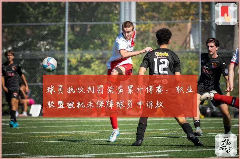 球员抗议判罚染黄累计停赛，职业联盟被批未保障球员申诉权