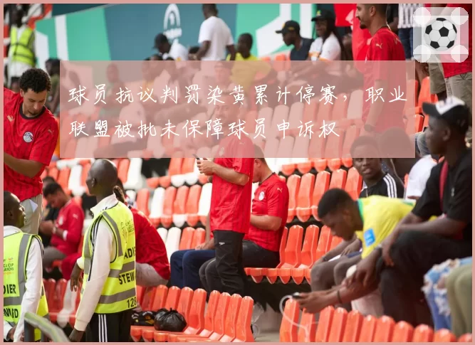 球员抗议判罚染黄累计停赛,职业联盟被批未保障球员申诉权