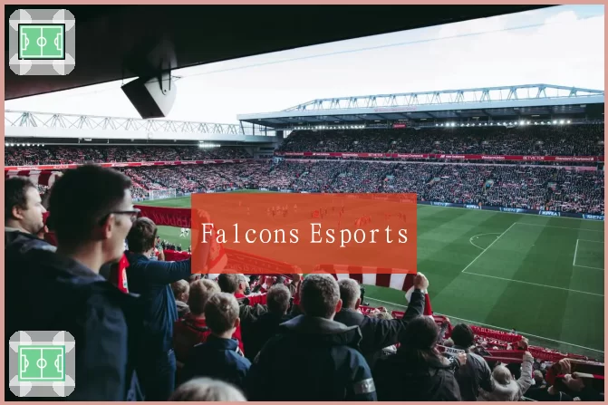 Falcons Esports